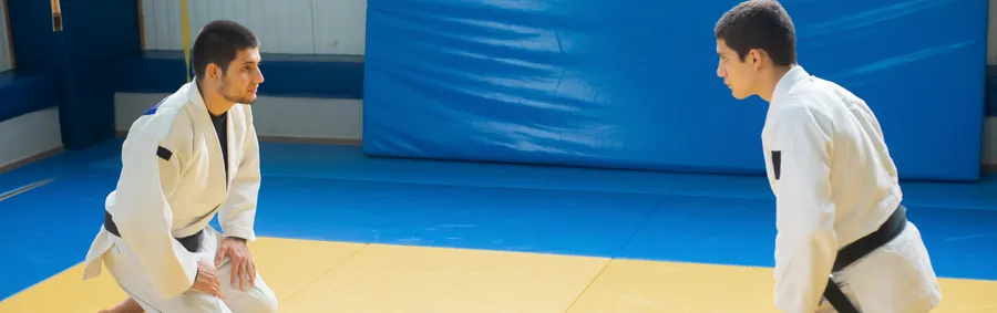 judo courstisols